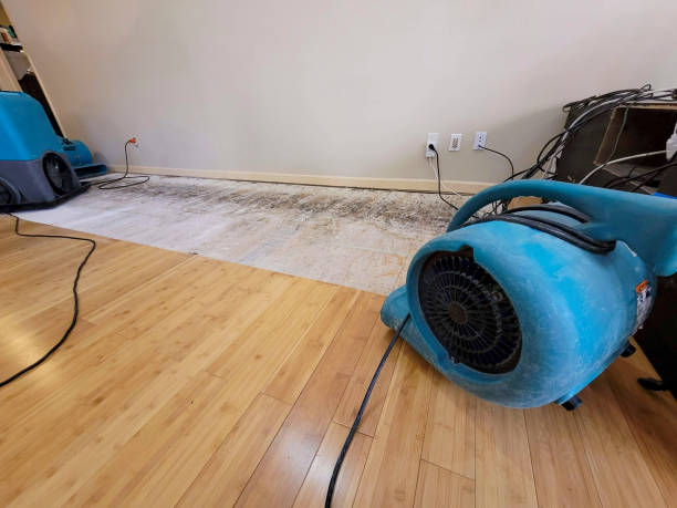 Professional Basement Flood Cleanup technician working in Walnut Grove, MS